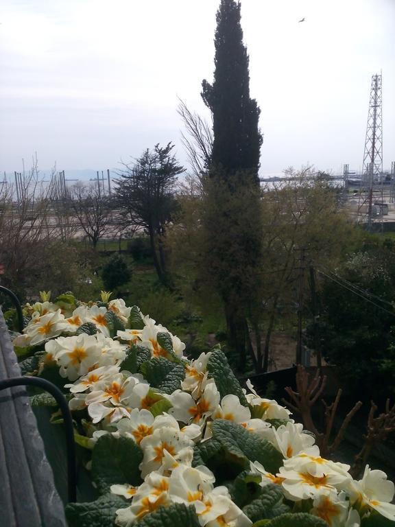מלון Pendik Marine 3*